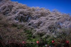 志太河川敷公園にて