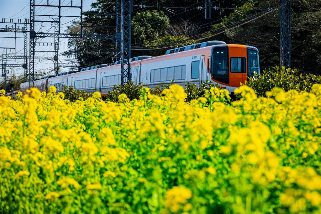 菜の花列車１