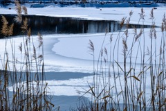 湖畔冬景色