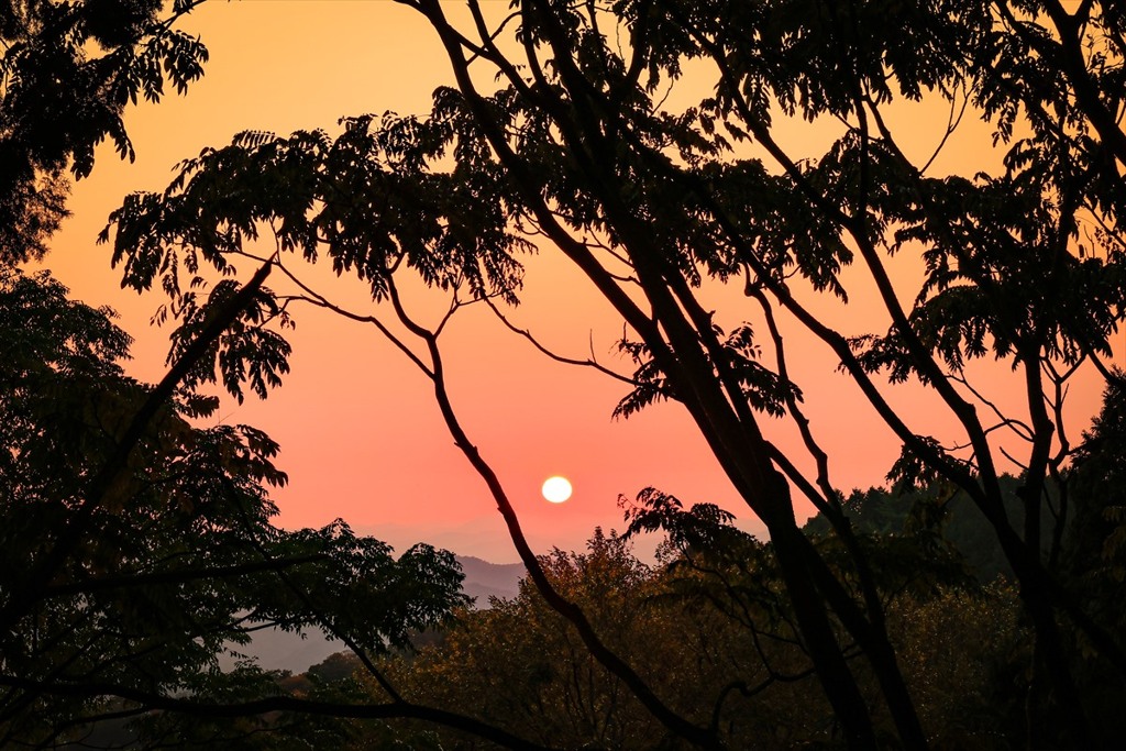 書写の夕日