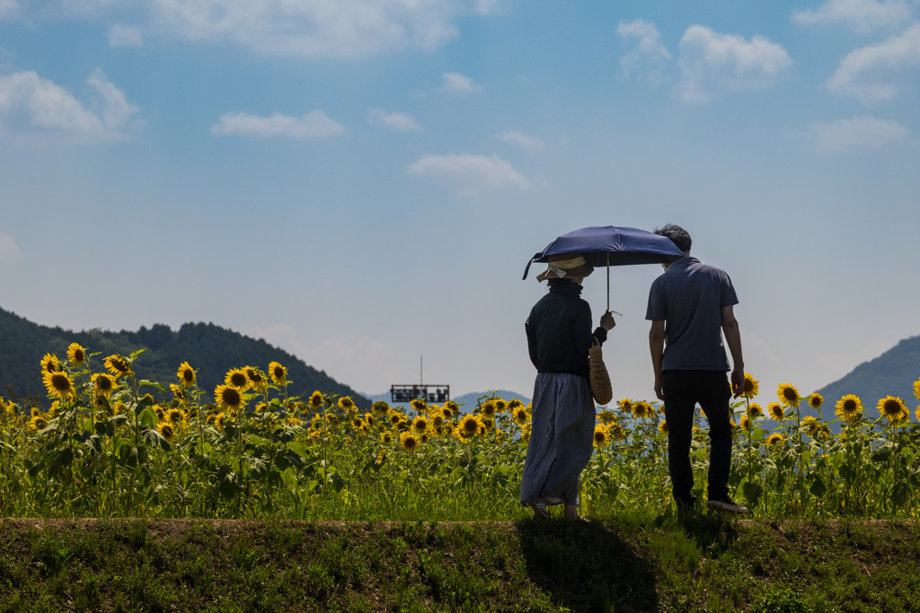 夏の思い出