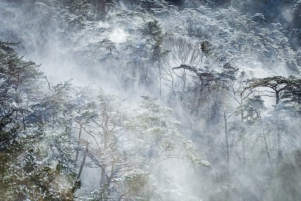 雪散らしの朝風