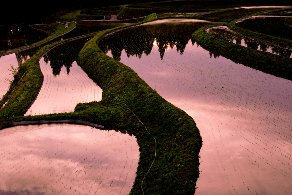 棚田の茜空