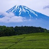 大淵笹場２