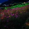 棚田の灯り３
