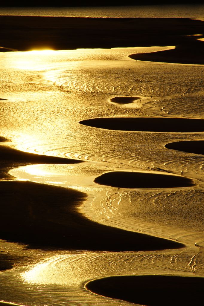 黄金の砂浜