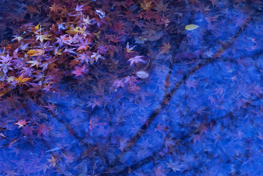 秋終章（エピローグ）