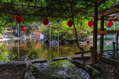 平塚 平塚八幡宮にて