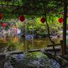 平塚 平塚八幡宮にて
