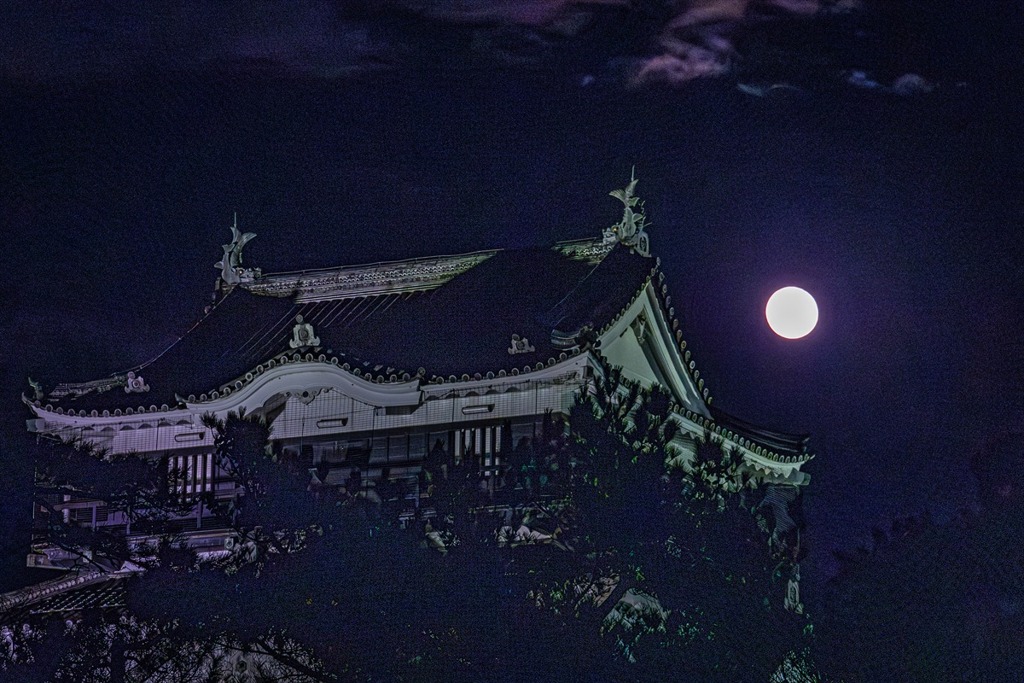 東海道岡崎城にて３