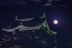 東海道岡崎城にて３
