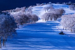 雪原の朝