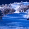 雪原の朝