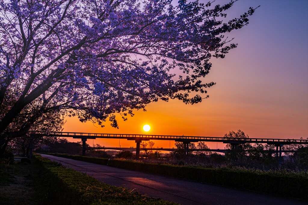 蓬莱橋日昇