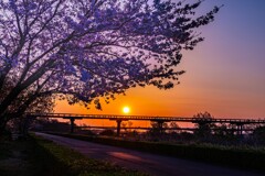 蓬莱橋日昇