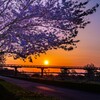 蓬莱橋日昇