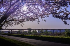 大井川に架ける２