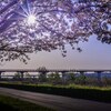 大井川に架ける２
