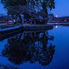 月昇の池１