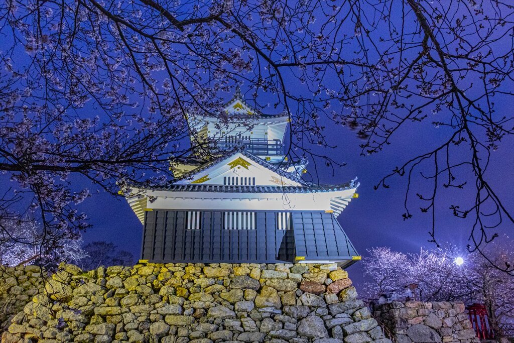 宵桜５・浜松城
