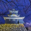 宵桜５・浜松城