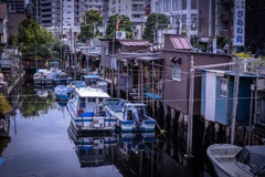 品川浦船溜り２