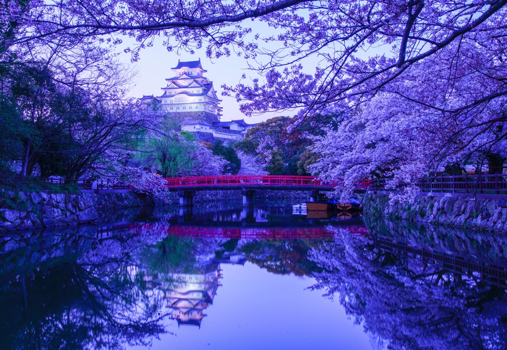 双望の城