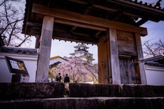 城門と桜