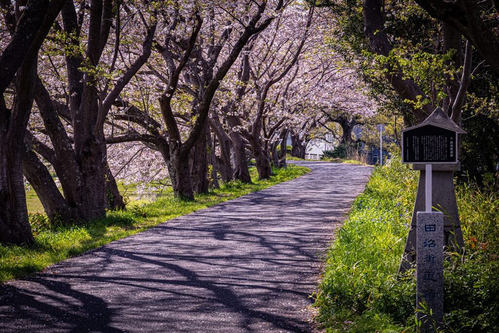 田沼街道蹟１