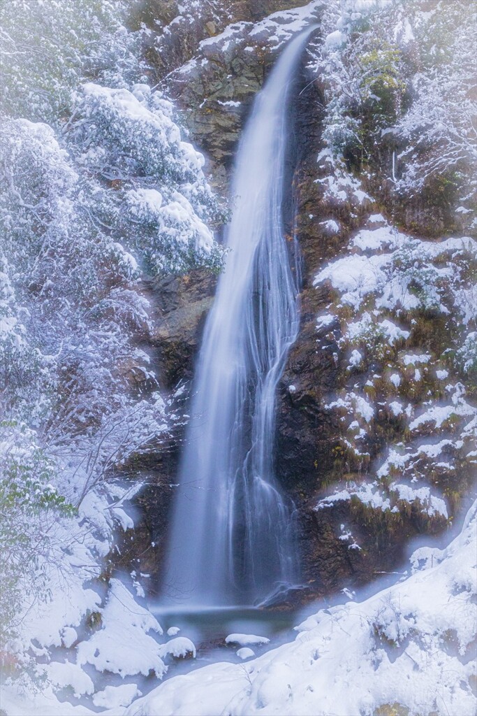 雪化粧