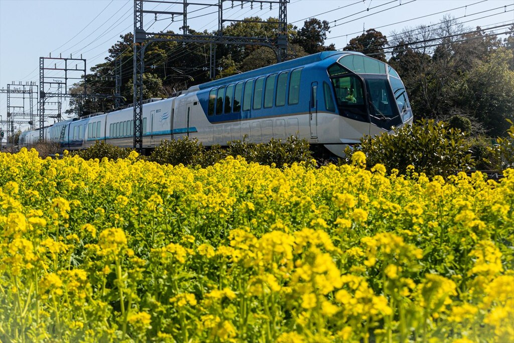 菜の花列車２