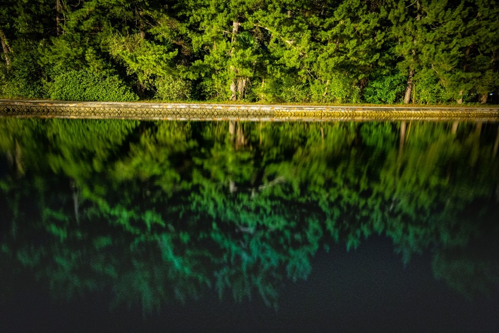 水鏡の松林