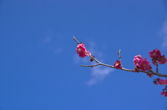 空に