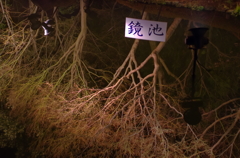 IMGP62651
