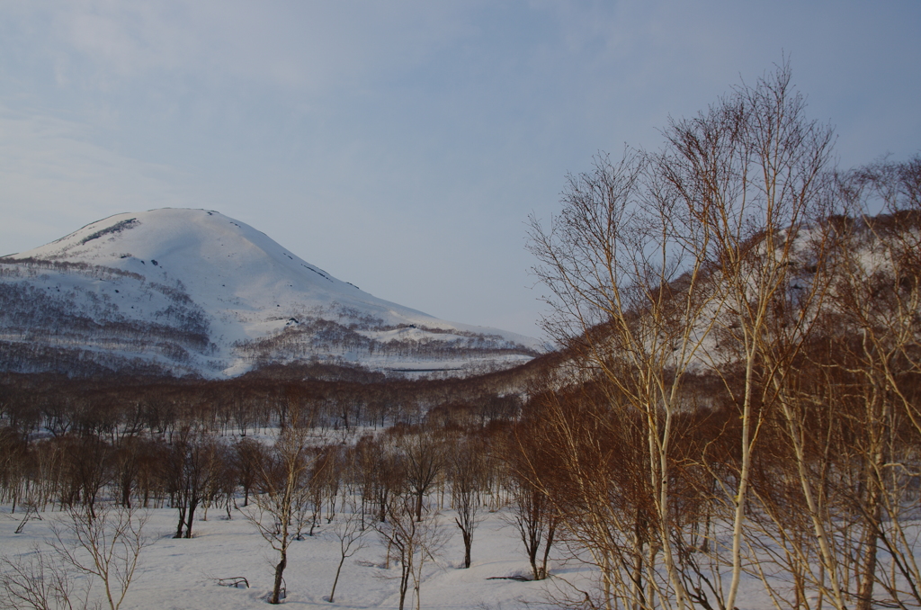 雪の春