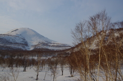 雪の春