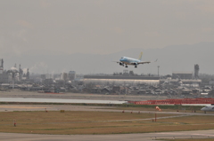 新潟空港 展望デッキ9