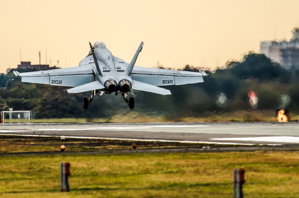 NF-202