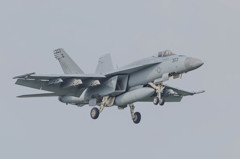 #303 VFA-115 Eagles
