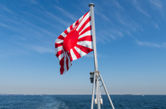 平成27年度自衛隊観艦式・・・21