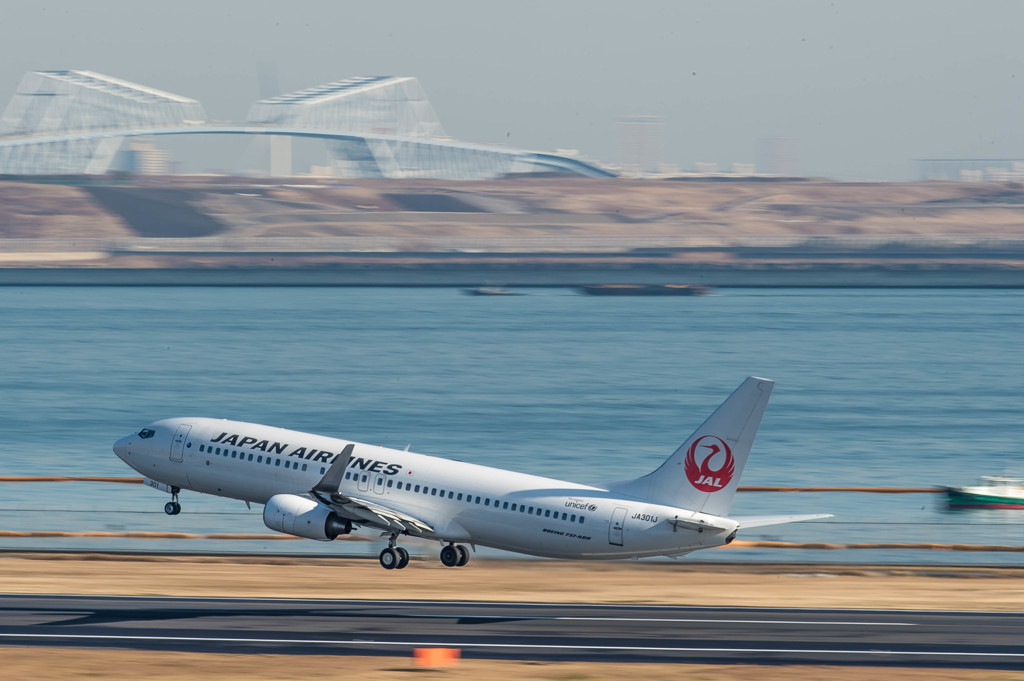 白鳥捜査・・・11