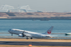 白鳥捜査・・・11