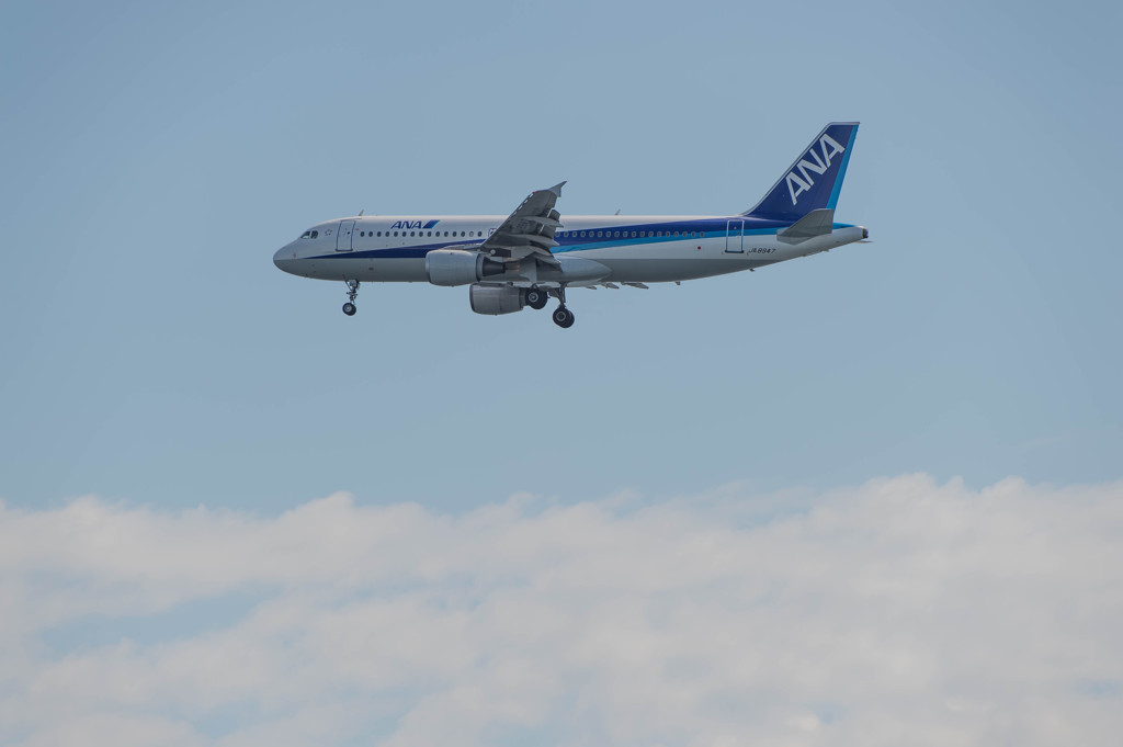 浮島物語　ANA　A320