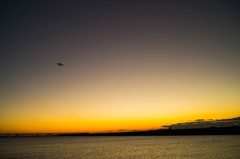 ハミングバードに逢いたくて・・・4