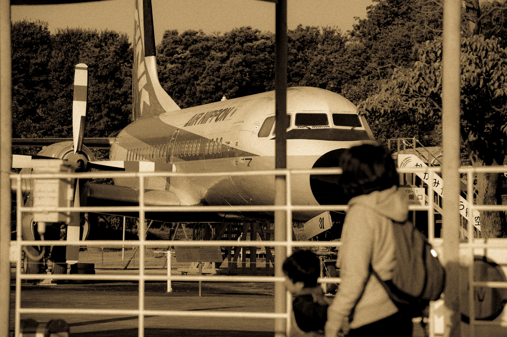 毎年の楽しみが・・・