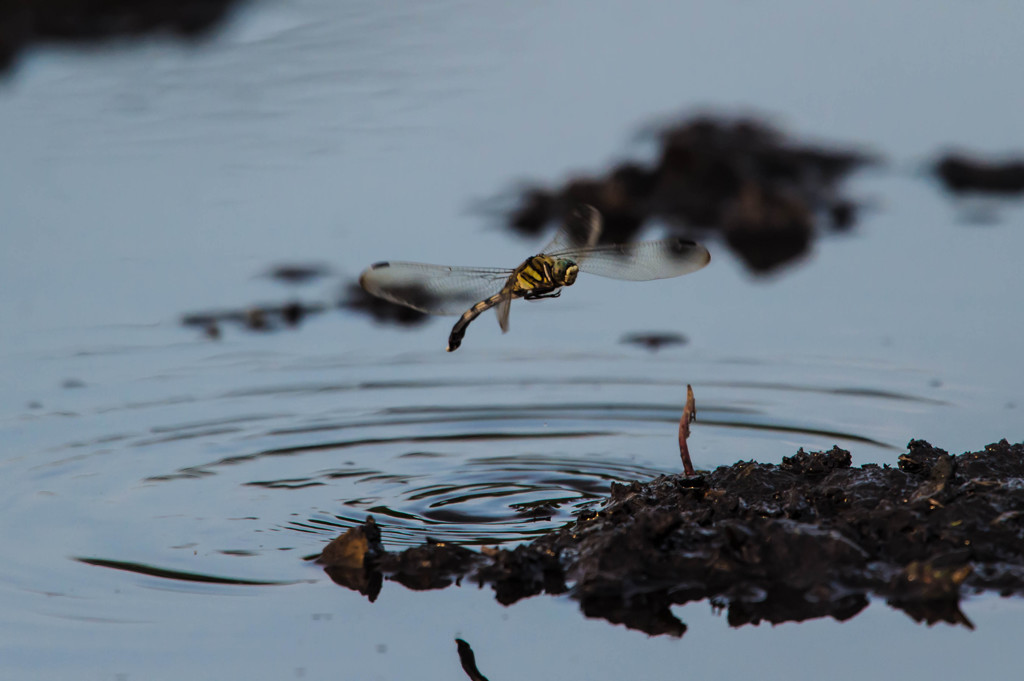 厚木基地番外編　3