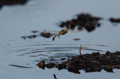 厚木基地番外編　3