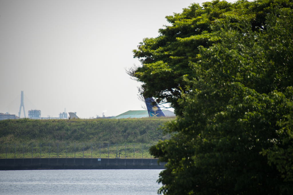 本日は幕張に行かず羽田へ(^_^;)
