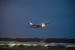 ANA　B737