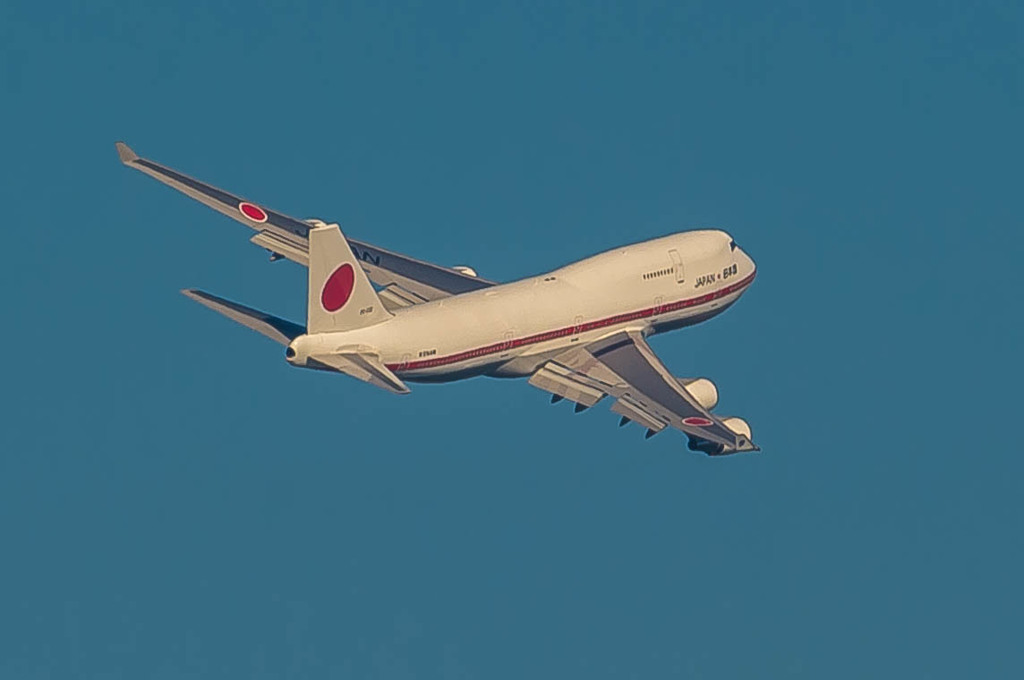 白鳥捜査・・・25